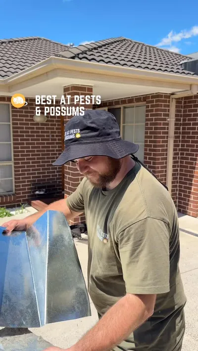 Best At Pests Instagram post 3