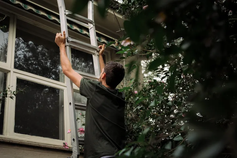 Ladder up at the wall and eaves, checking for the real entry point