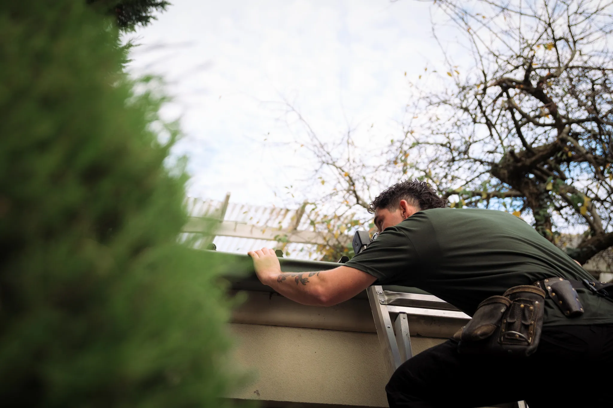 Inspecting a Melbourne roofline for rodent entry points