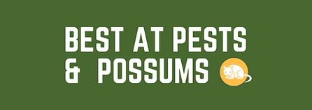Best At Pests