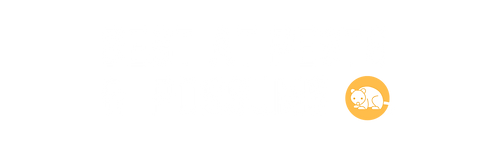 Best At Pests, Possum Removal & Pest Control